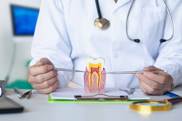 Best Chipped Tooth Repair Near Me  in East Brewton, AL